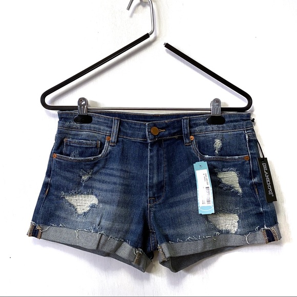 blanknyc dress down party shorts